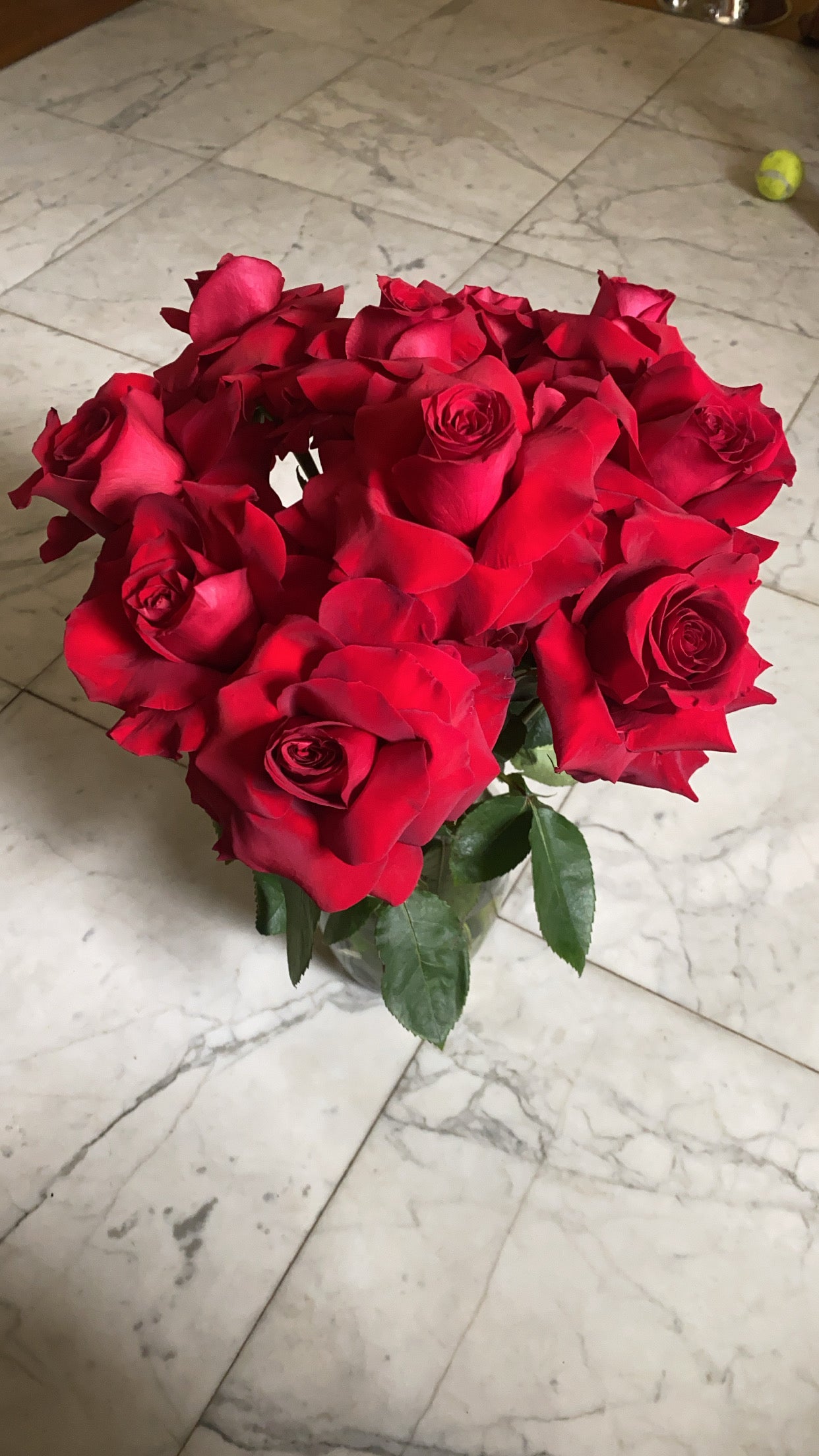 Roses arrangement