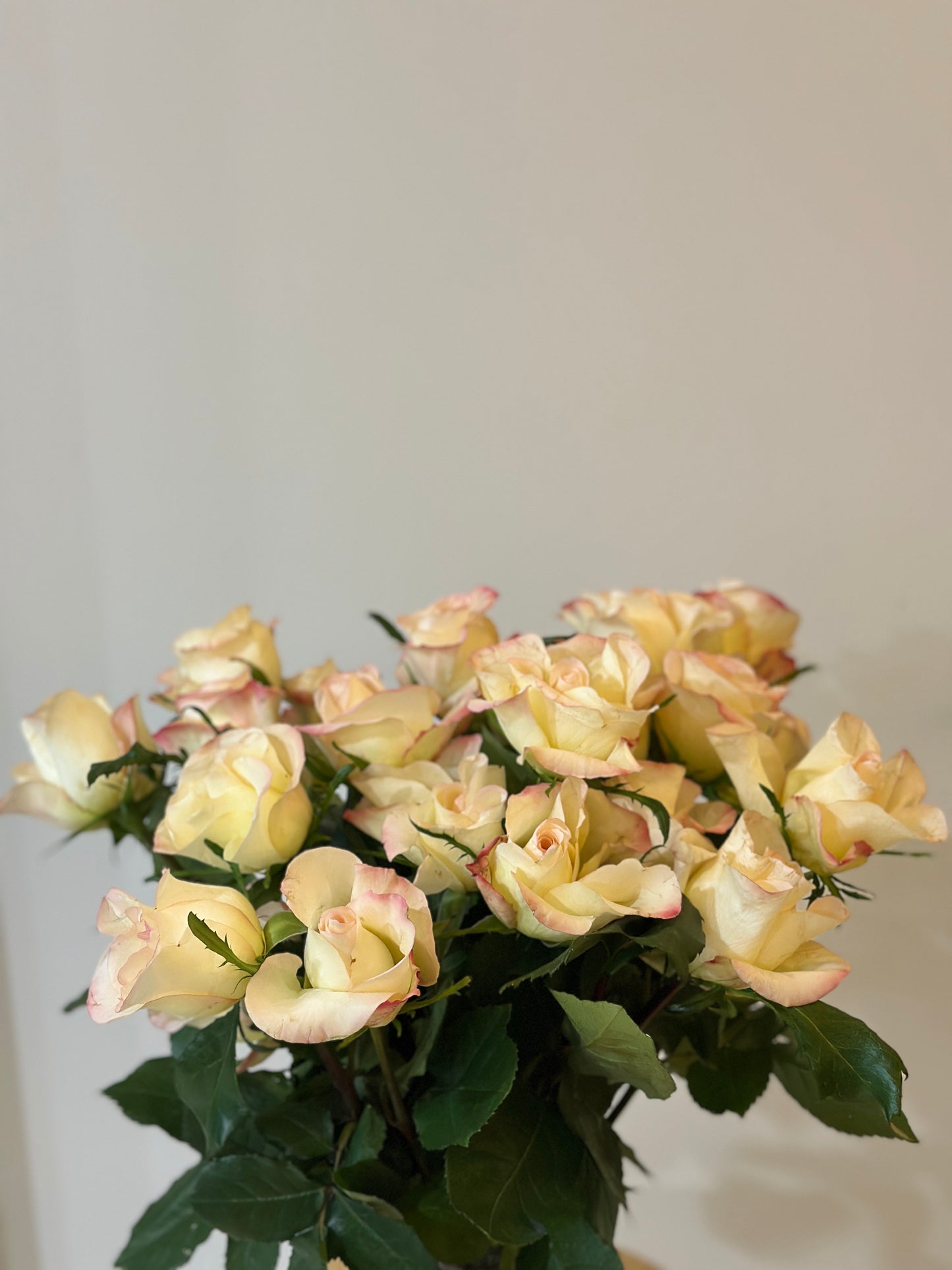 Roses arrangement